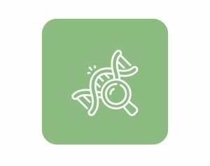 kraujo ištyrimo tyrimų programos kaune (8)-6915d578d890cde0210b98fb897d0341.jpg